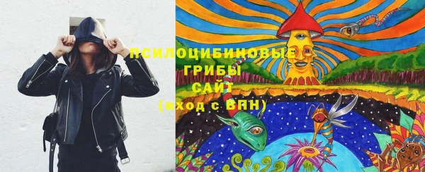 прущие крисы Магадан