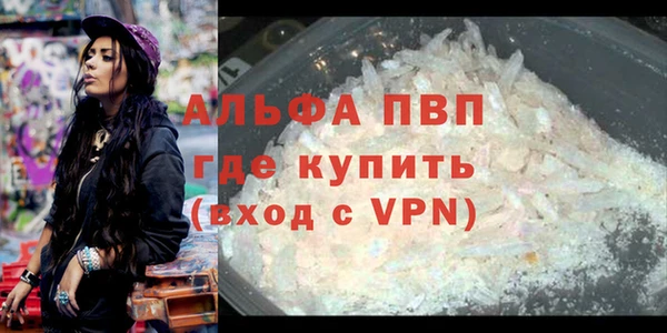 СК Магас