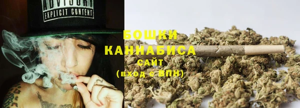 ПСИЛОЦИБИНОВЫЕ ГРИБЫ Новоуральск